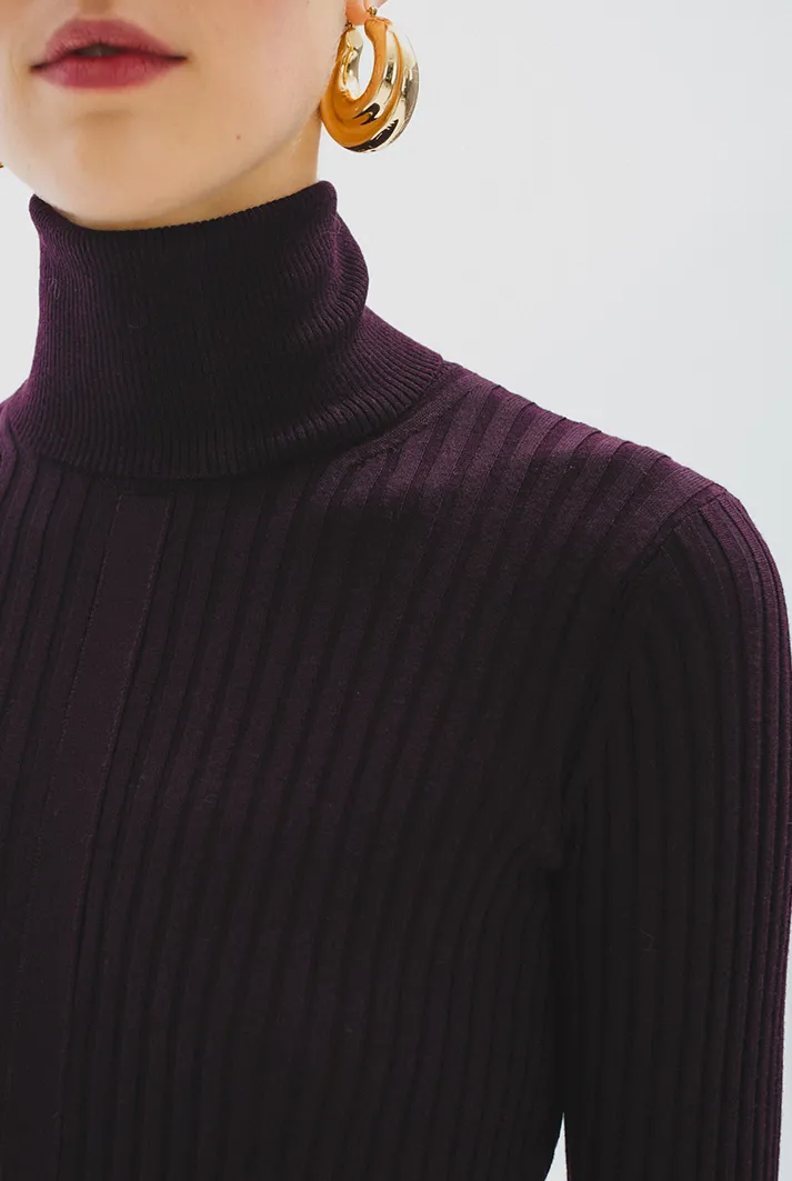 Turtleneck Pleated Wool Midi Dress | Garnet