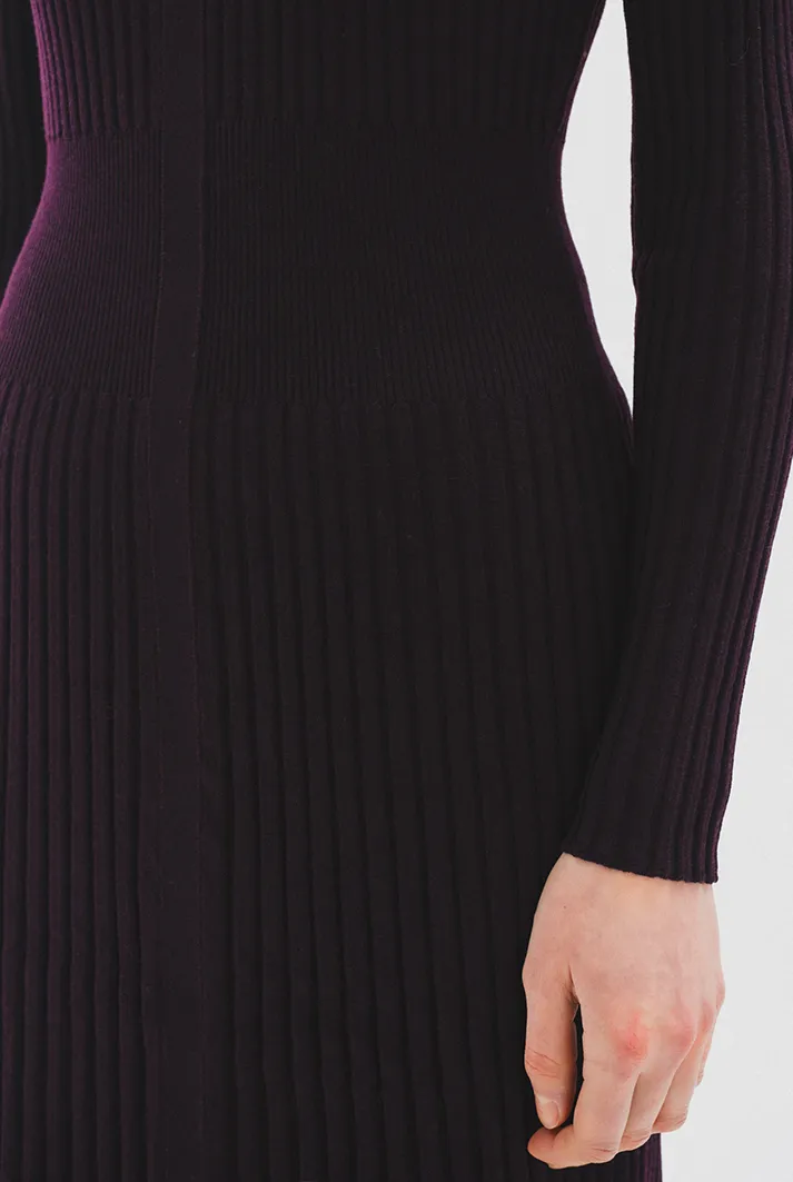 Turtleneck Pleated Wool Midi Dress | Garnet